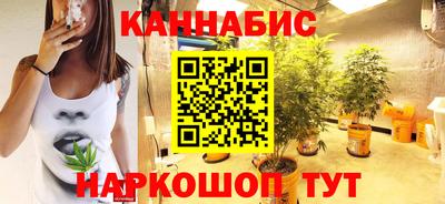 гидра Будённовск