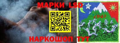 гидра Будённовск