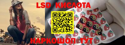 гидра Будённовск