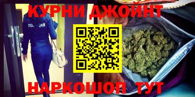 гидра Будённовск