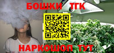 гидра Будённовск