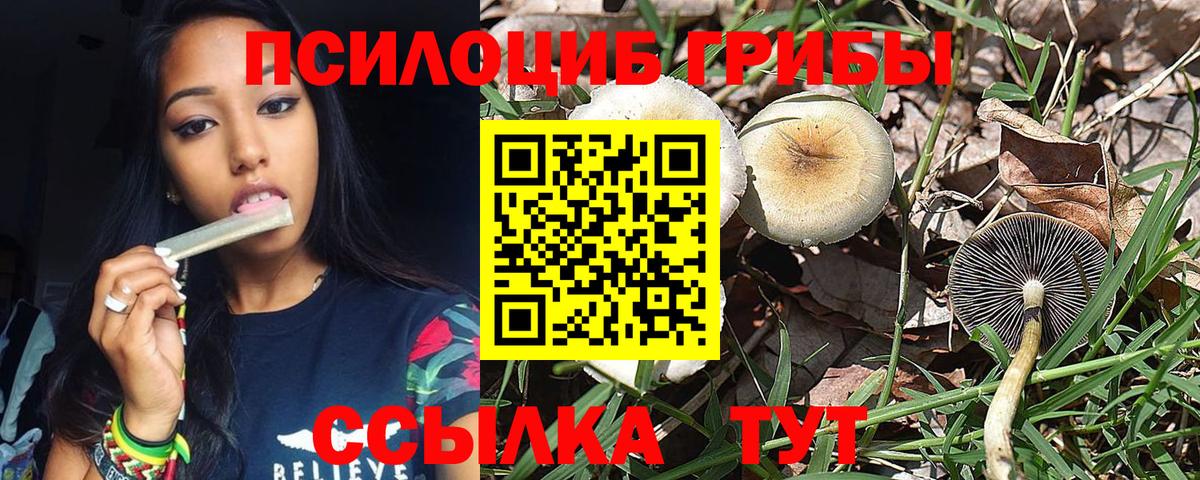 Галлюциногенные грибы прущие грибы Лангепас